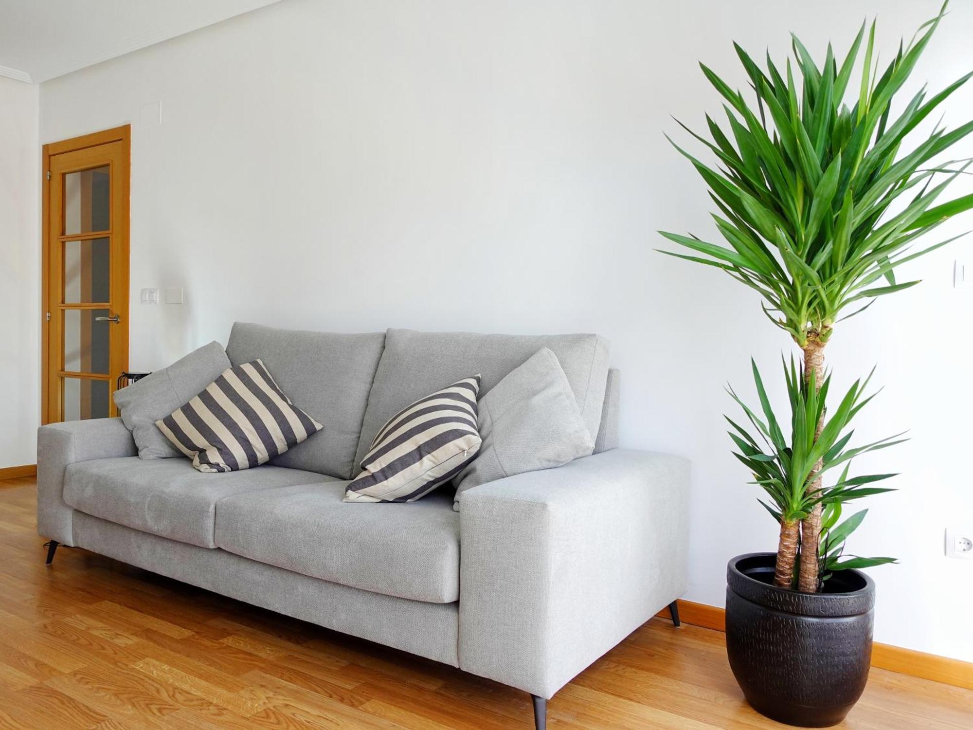 Atalaia Apartment フォス エクステリア 写真